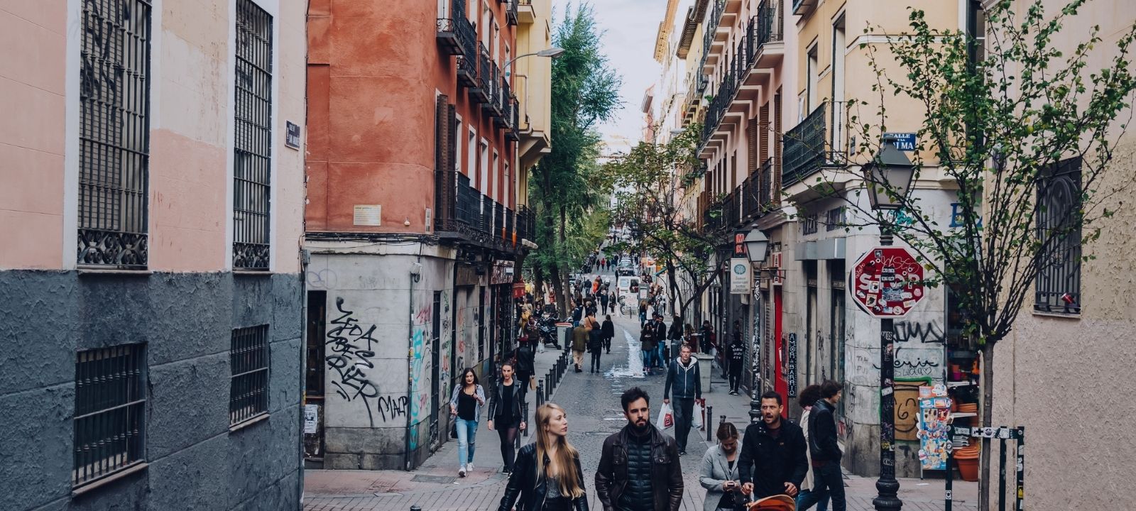 Los barrios de Madrid. La guía definitiva